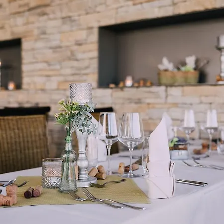 Hotel Schuetzen Steffisburg 3*