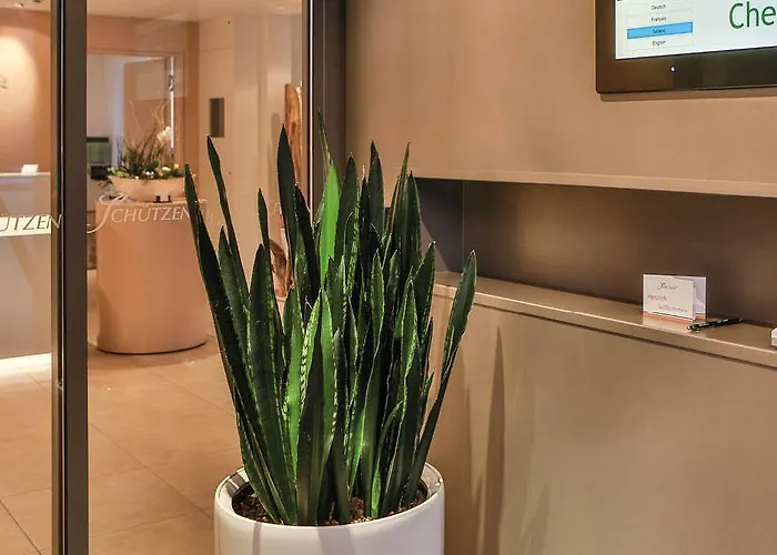 Schuetzen Hotel Steffisburg