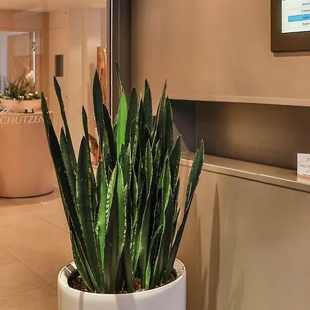 شوتزين شتيفيسبورغ فندق Steffisburg