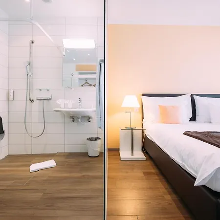 Hotel Schuetzen Steffisburg 3*